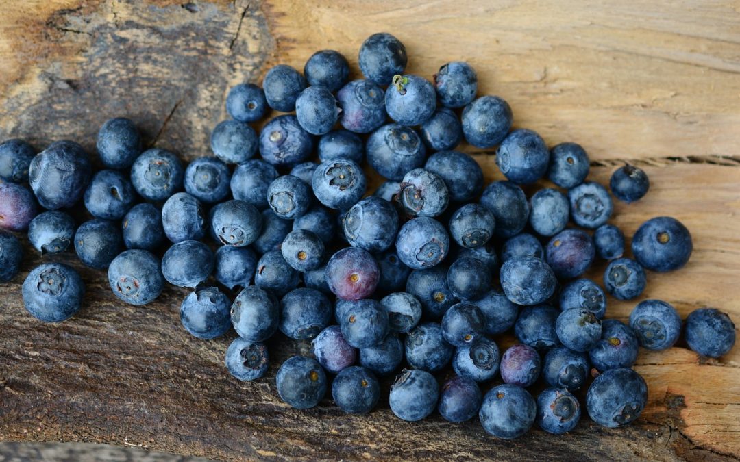 Healthy Morning Snacks That Will Tide You Over Until Lunch