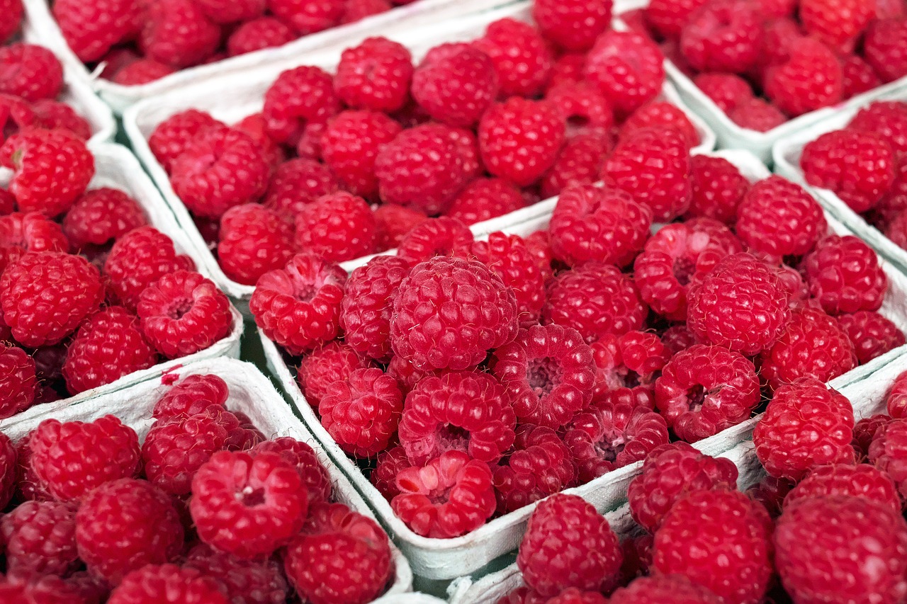 healthy morning snacks fruit