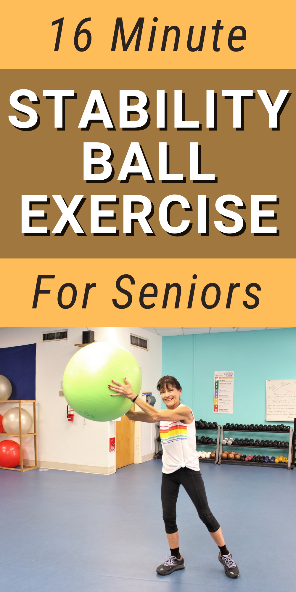 stability ball exercises for seniors