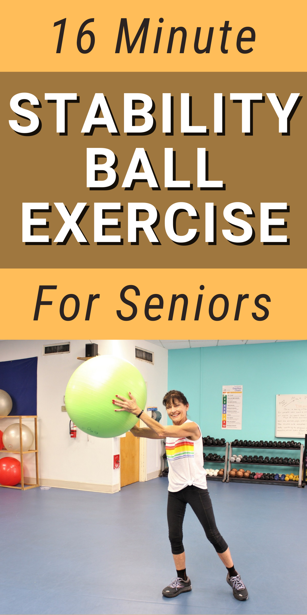 skærm screech Vend tilbage Stability Ball Exercises For Seniors - Fitness With Cindy