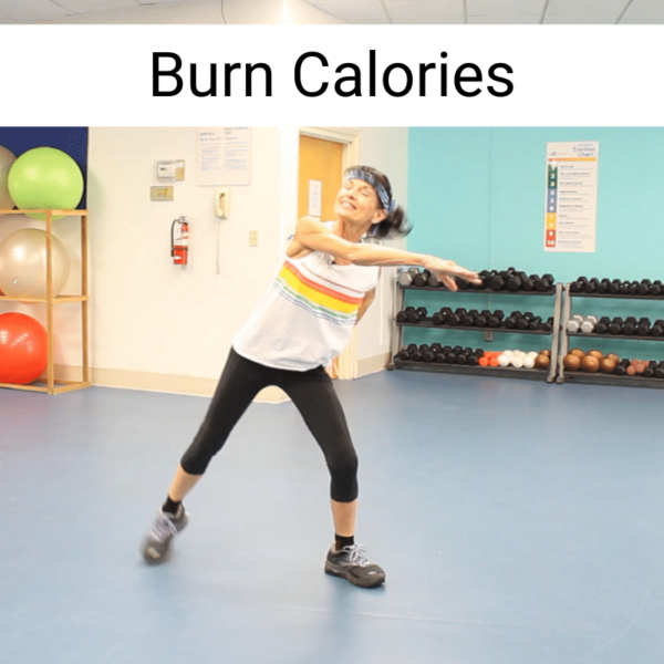 Full Body Workout DVD For Seniors - Image 4