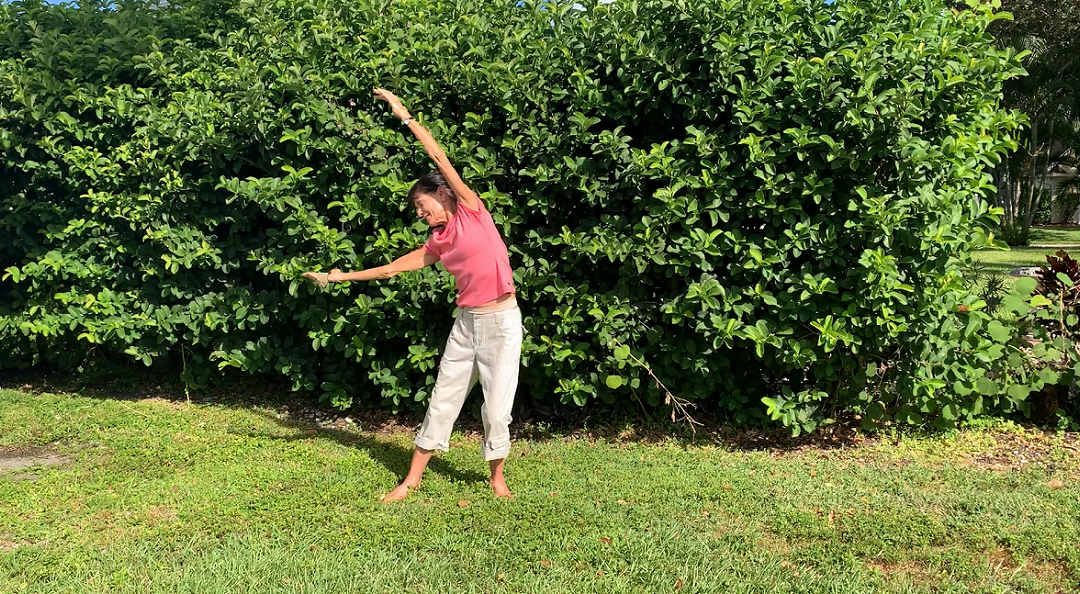 Qigong For Flexibility To Increase Range Of Motion