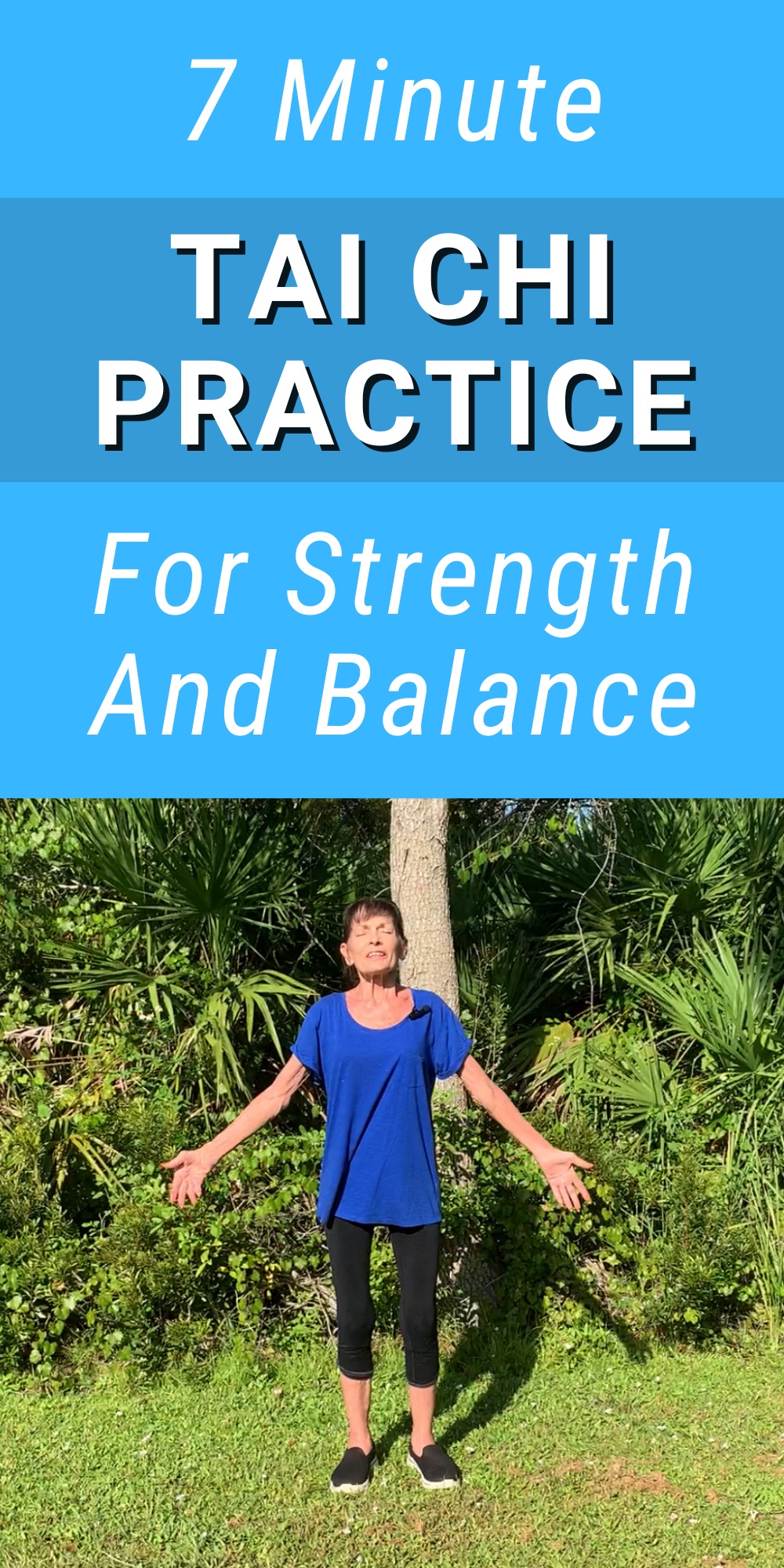 tai chi exercise video for strength and balance