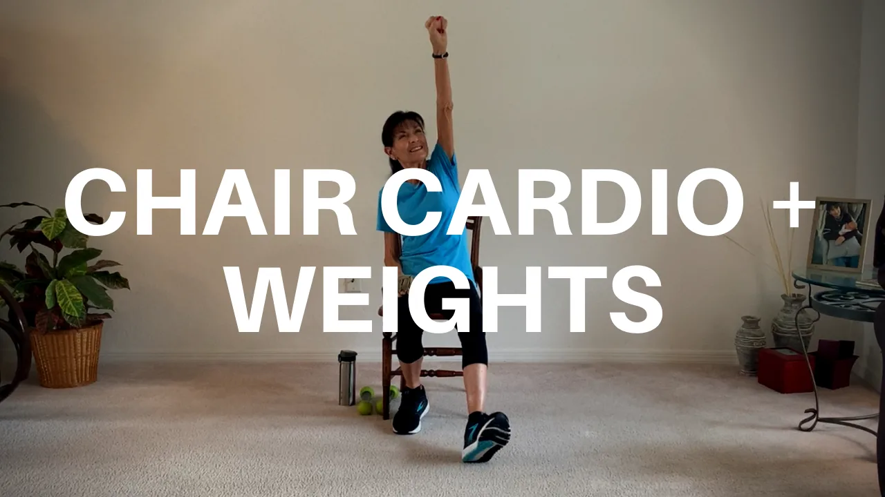 seated cardio and weights workout